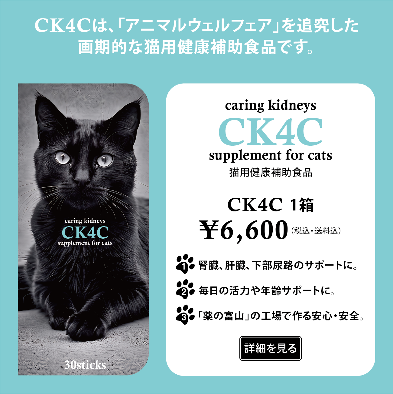 CK4C(猫用健康補助食品) 1箱